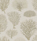 Seafern Wallpaper - Ice Blue on Chalk - 107/2009 - Cole & Son - Premier Wallcovering