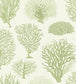 Seafern Wallpaper - Charcoal & Metallic Gold on Emerald - 107/2007 - Cole & Son - Premier Wallcovering