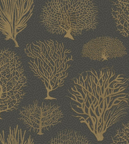 Seafern Wallpaper - Metallic Gold on Charcoal - 107/2006 - Cole & Son - Premier Wallcovering
