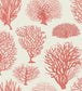 Seafern Wallpaper - Metallic Gilver on Stone - 107/2010 - Cole & Son - Premier Wallcovering