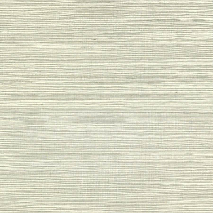 Seagrass Wallpaper - Sky - Colefax & Fowler - 20232 - 06 - Premier Wallcovering