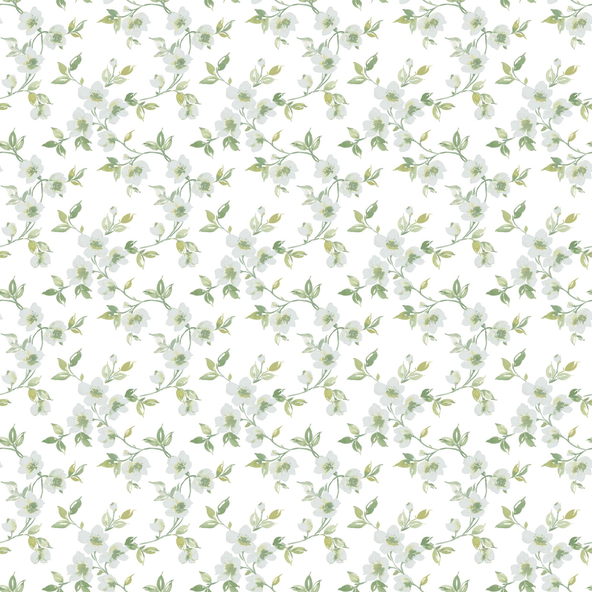 Secret Garden Anemone Mini Wallpaper - Duck Egg / Sage Green / White - Galerie - G78483 - Premier Wallcovering