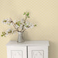 Secret Garden Trellis Negative Wallpaper - Yellow - Galerie - G78524 - Premier Wallcovering