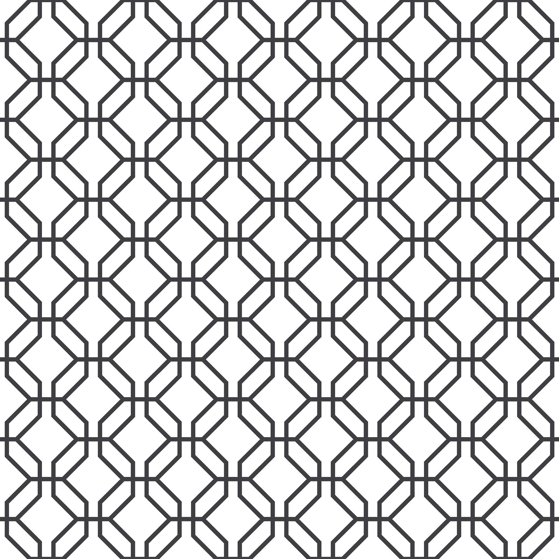 Secret Garden Trellis Negative Wallpaper - Black - Galerie - G78525 - Premier Wallcovering