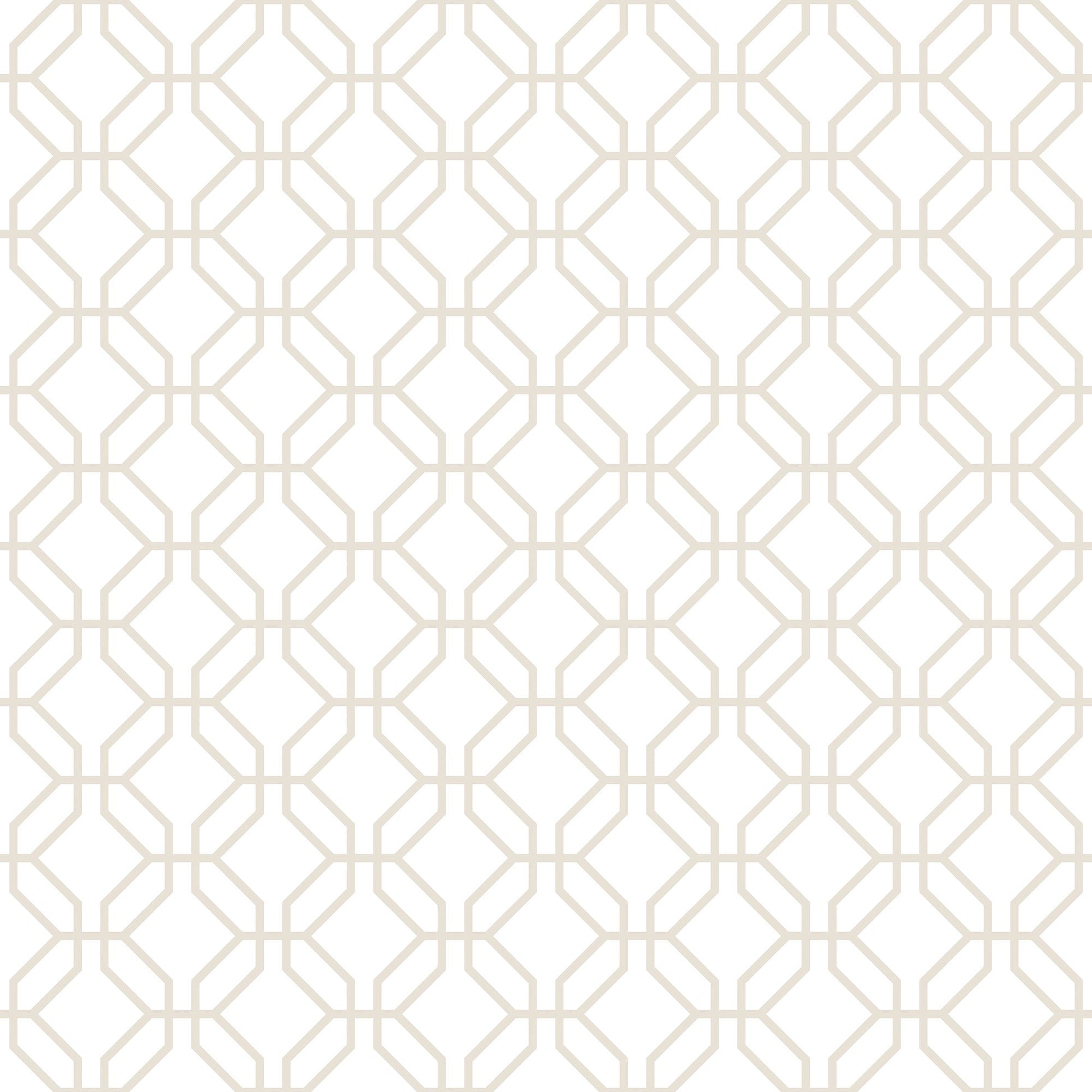Secret Garden Trellis Negative Wallpaper - Taupe - Galerie - G78529 - Premier Wallcovering