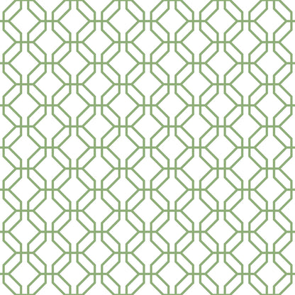 Secret Garden Trellis Negative Wallpaper - Fresh Green - Galerie - G78528 - Premier Wallcovering