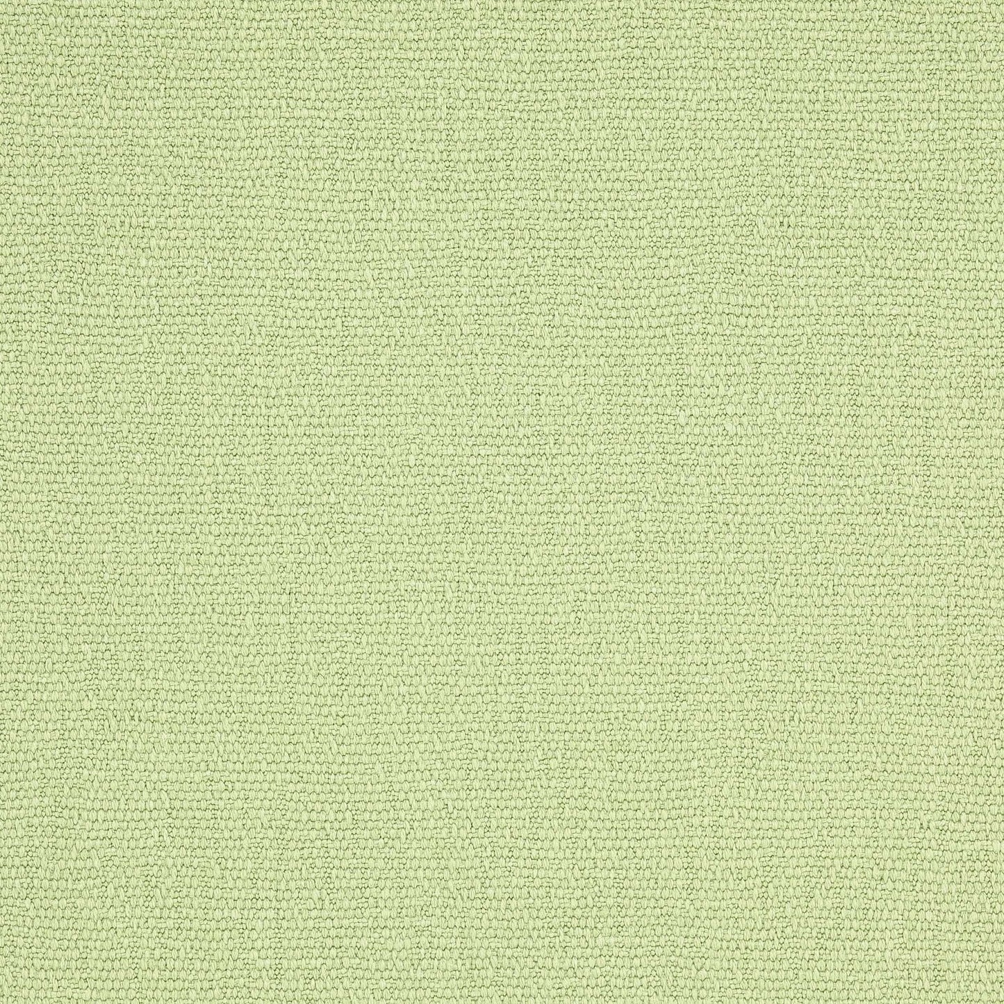 Selma Fabric - Cactus - Manuel Canovas - M4056-28 - Premier Wallcovering