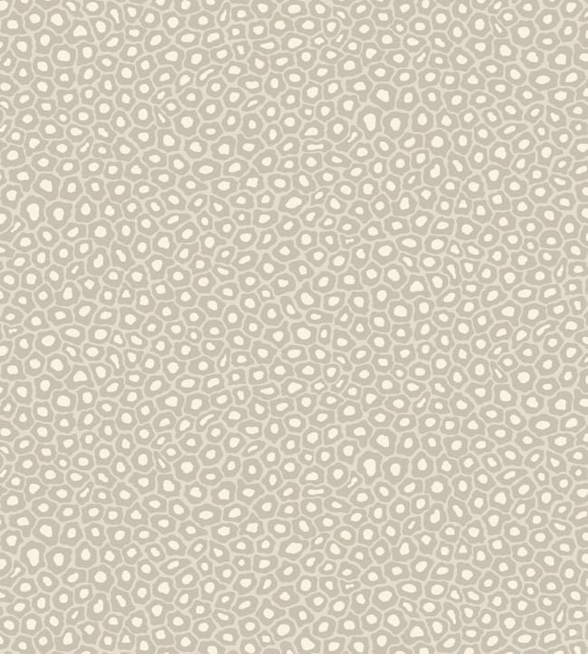 Senzo Spot Wallpaper - Stone & Chalk - 109/6030 - Cole & Son - Premier Wallcovering