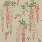 Seraphina Wallpaper - Old Pink/Leaf - Colefax & Fowler - 07157/08 - Premier Wallcovering