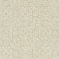Serego Wallpaper - Champagne - P605/02 - Designers Guild