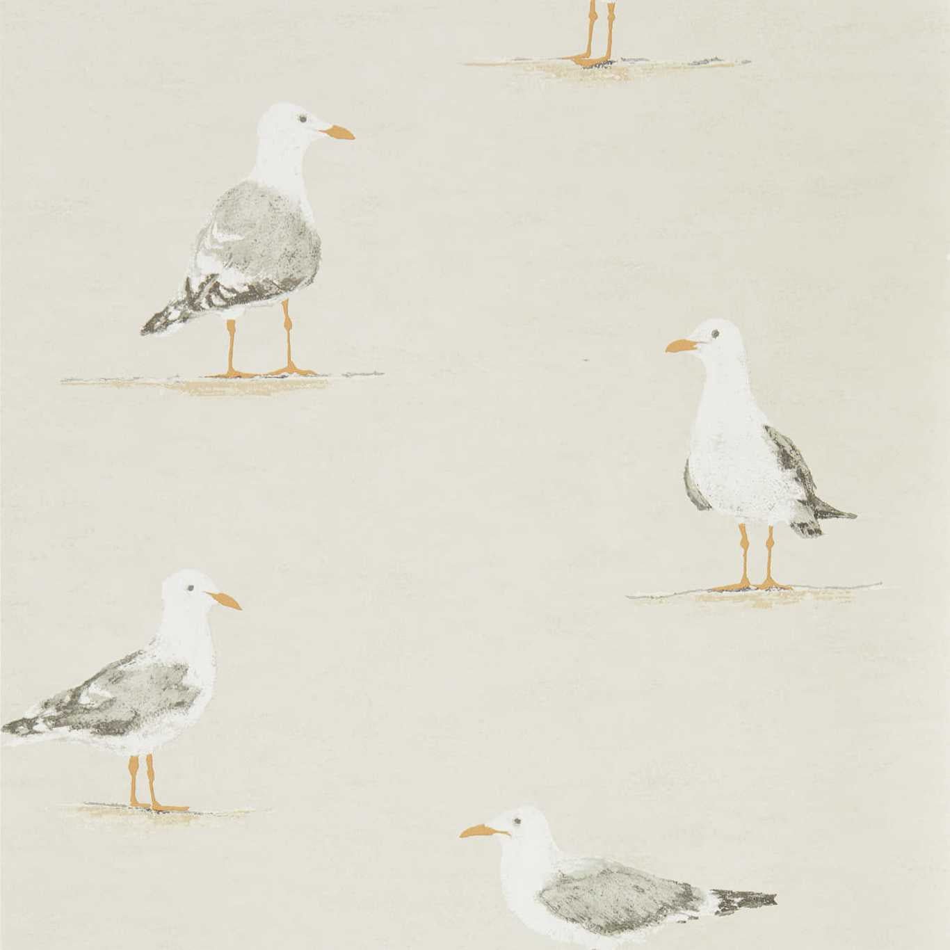 Shore Birds Wallpaper - Driftwood - Sanderson - DCOA216563