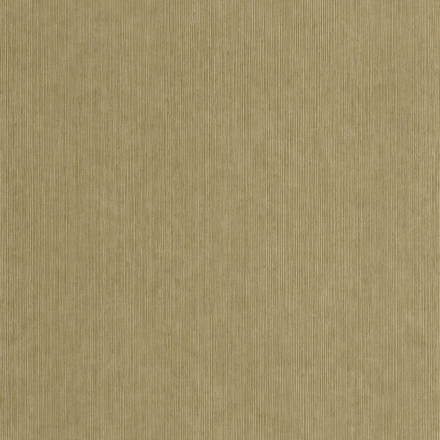 Sisal Wallpaper - Vert Kaki - Caselio - 106017145