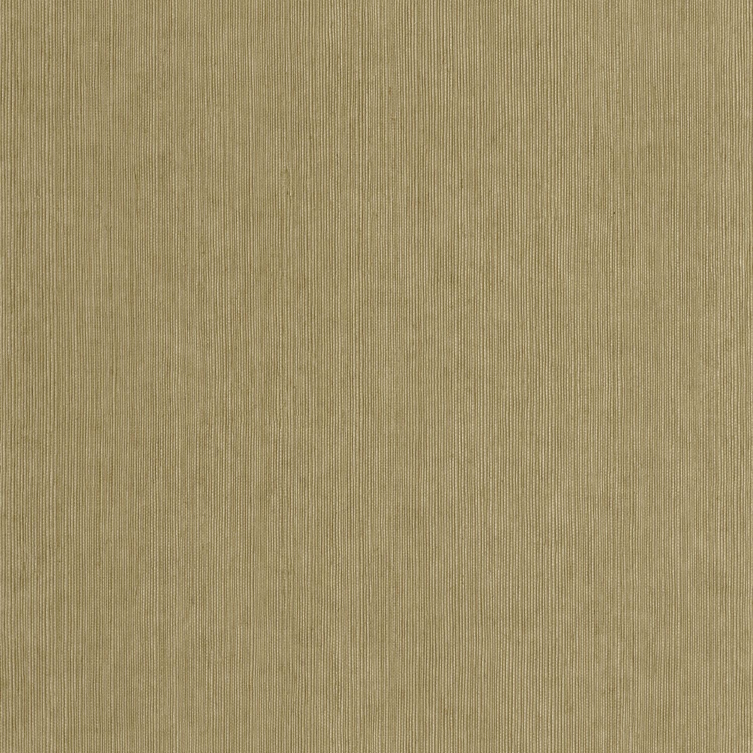 Sisal Wallpaper - Vert Kaki - Caselio - 106017145