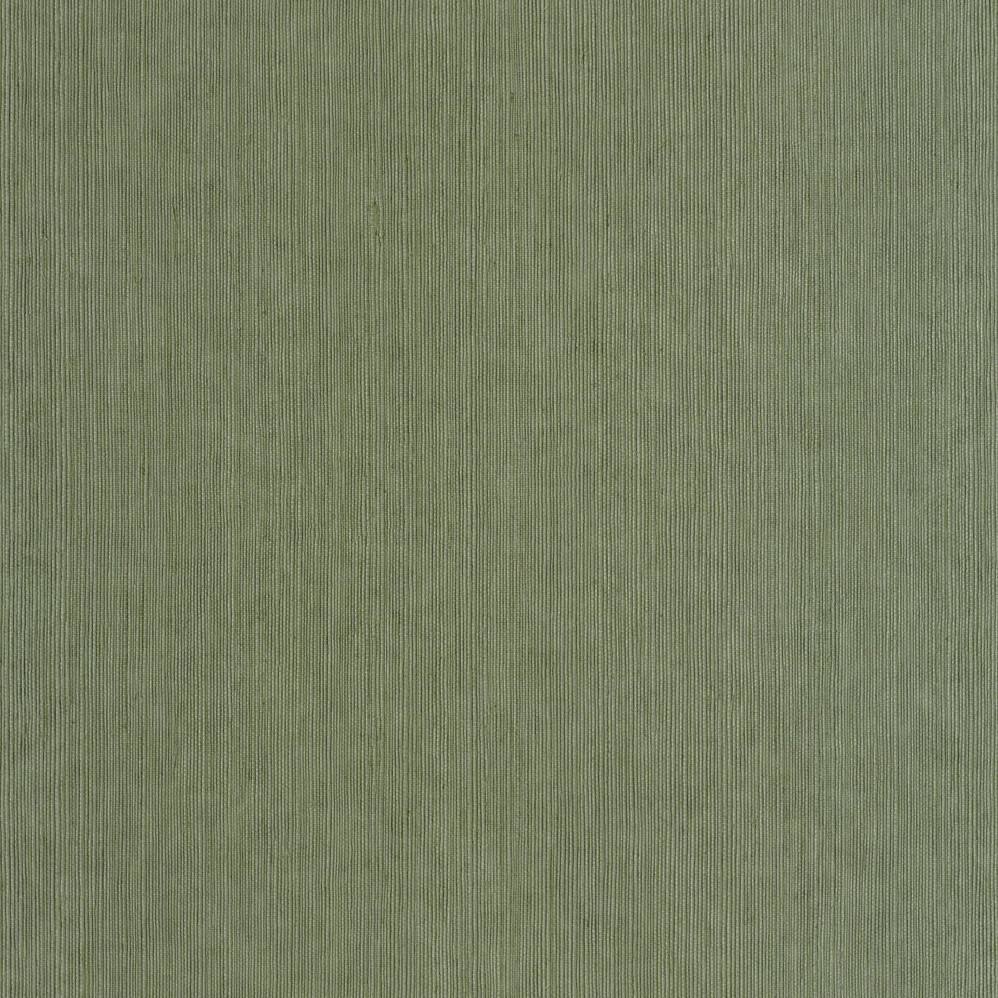 Sisal Wallpaper - Mousse - Caselio - 106017230