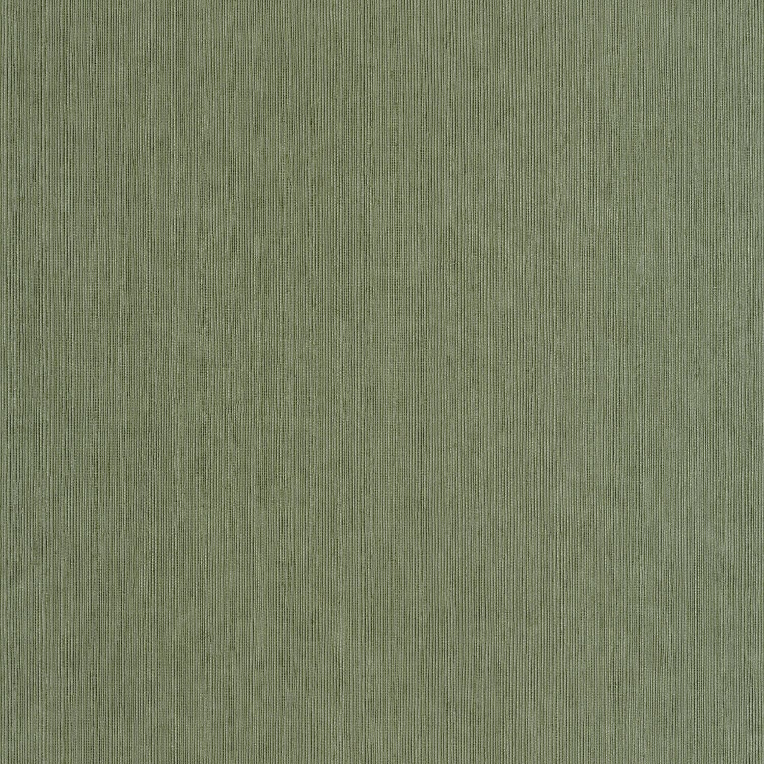 Sisal Wallpaper - Mousse - Caselio - 106017230