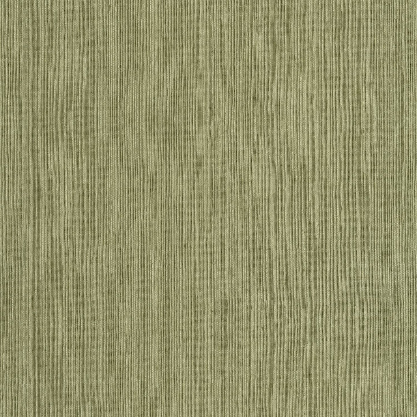 Sisal Wallpaper - Vert Kaki - Caselio - 106017450