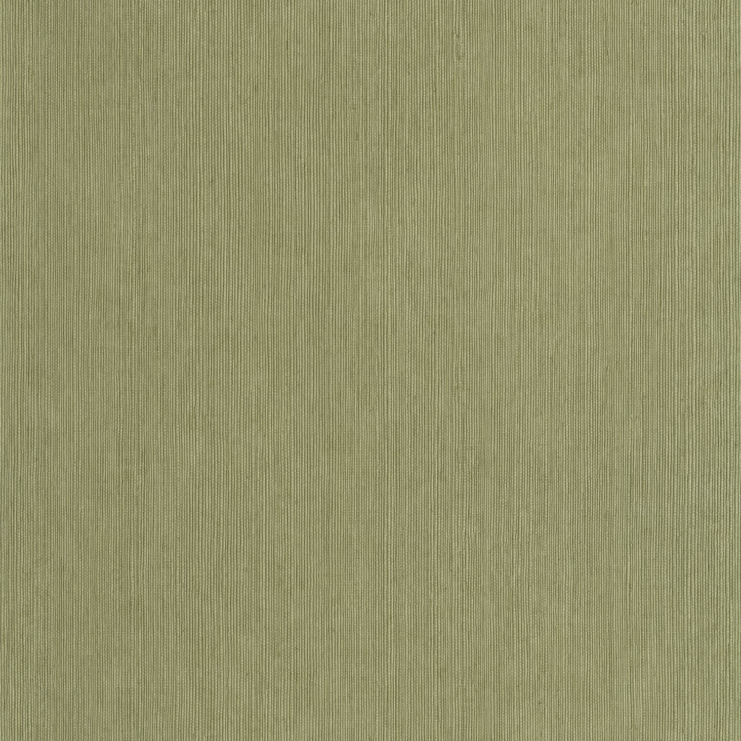Sisal Wallpaper - Vert Kaki - Caselio - 106017450