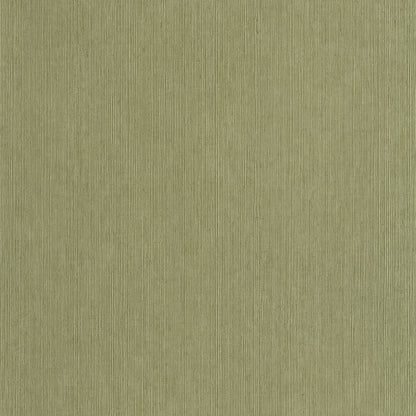 Sisal Wallpaper - Vert Kaki - Caselio - 106017450