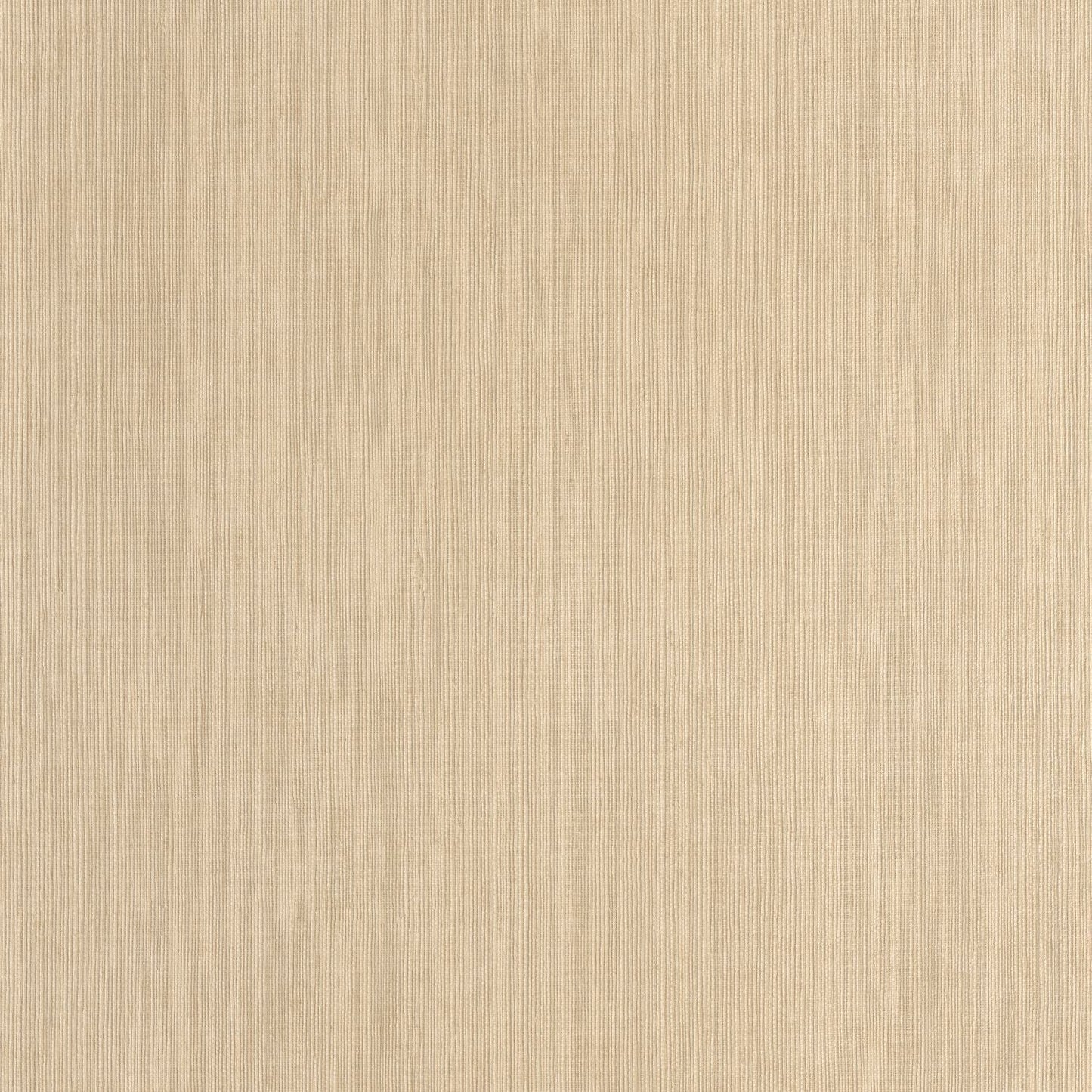 Sisal Wallpaper - Beige - Caselio - 106011245