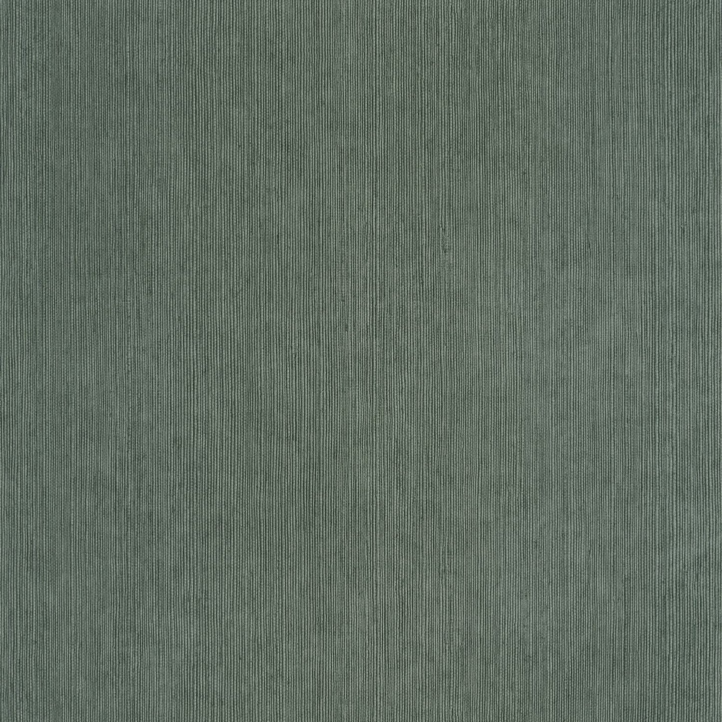 Sisal Wallpaper - Vert Sapin - Caselio - 106017589