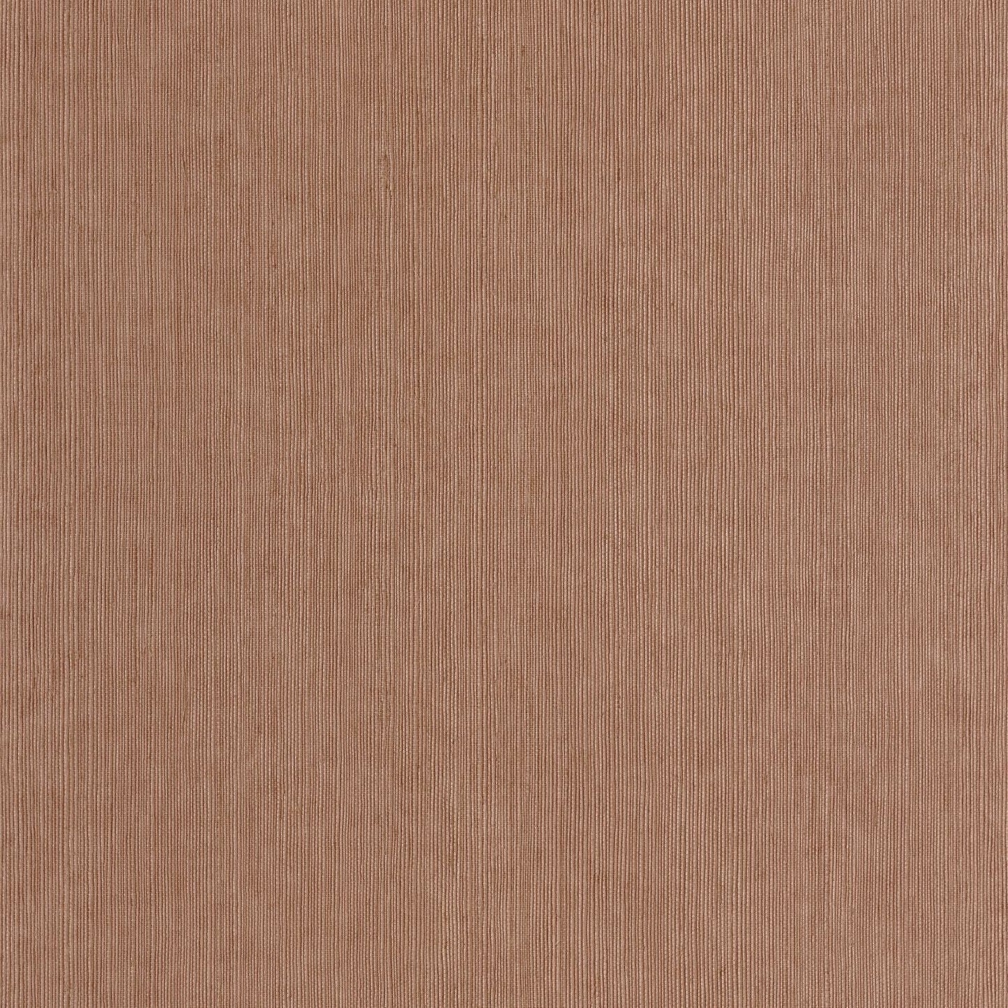 Sisal Wallpaper - Noisette - Caselio - 106012450