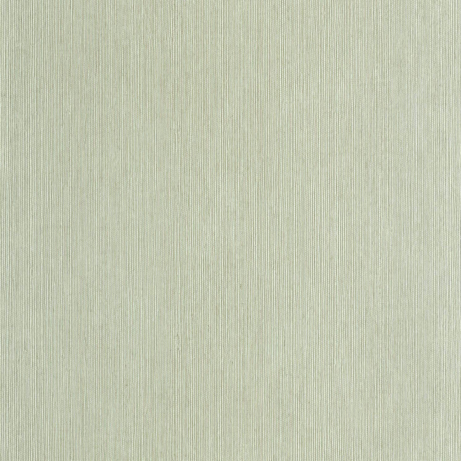 Sisal Wallpaper - Vert D'eau - Caselio - 106017004