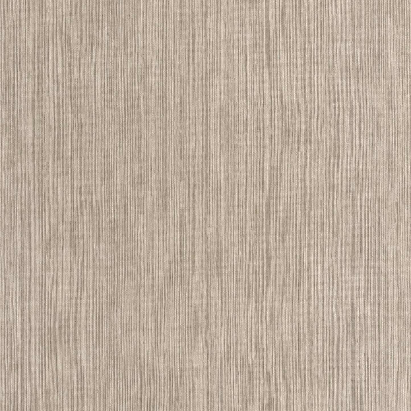 Sisal Wallpaper - Taupe - Caselio - 106011660