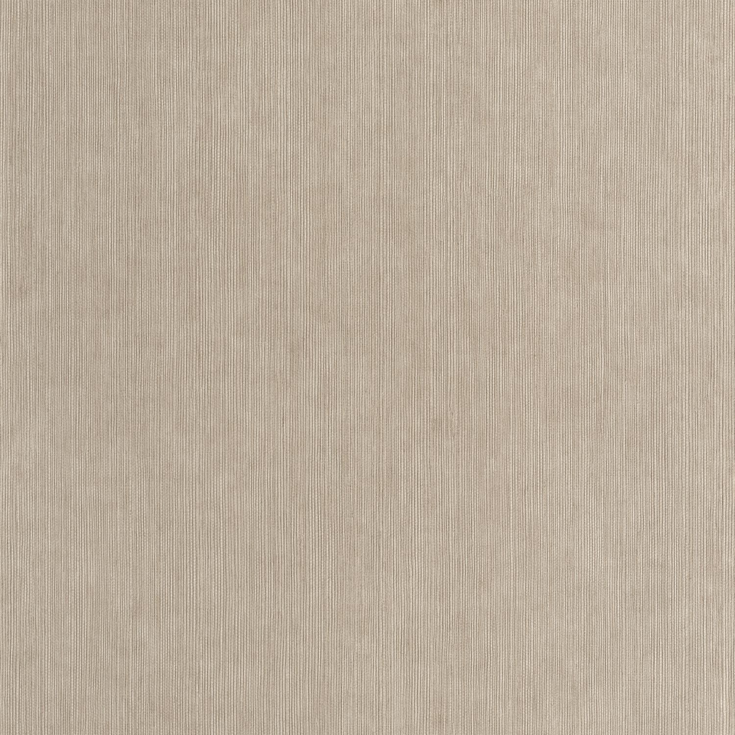 Sisal Wallpaper - Taupe - Caselio - 106011660
