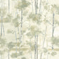 Skandinavia Riverside Wallpaper - Vert Lichen - Casadeco - 89547418 - Premier Wallcovering