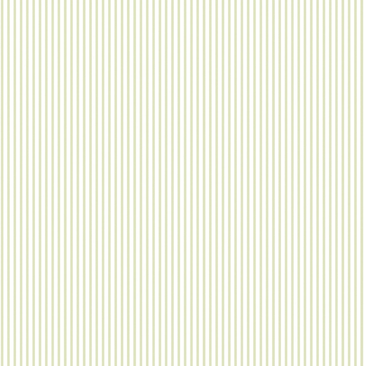 Small Prints Candy Stripe Wallpaper - Sage Green - Galerie - G56644 - Premier Wallcovering