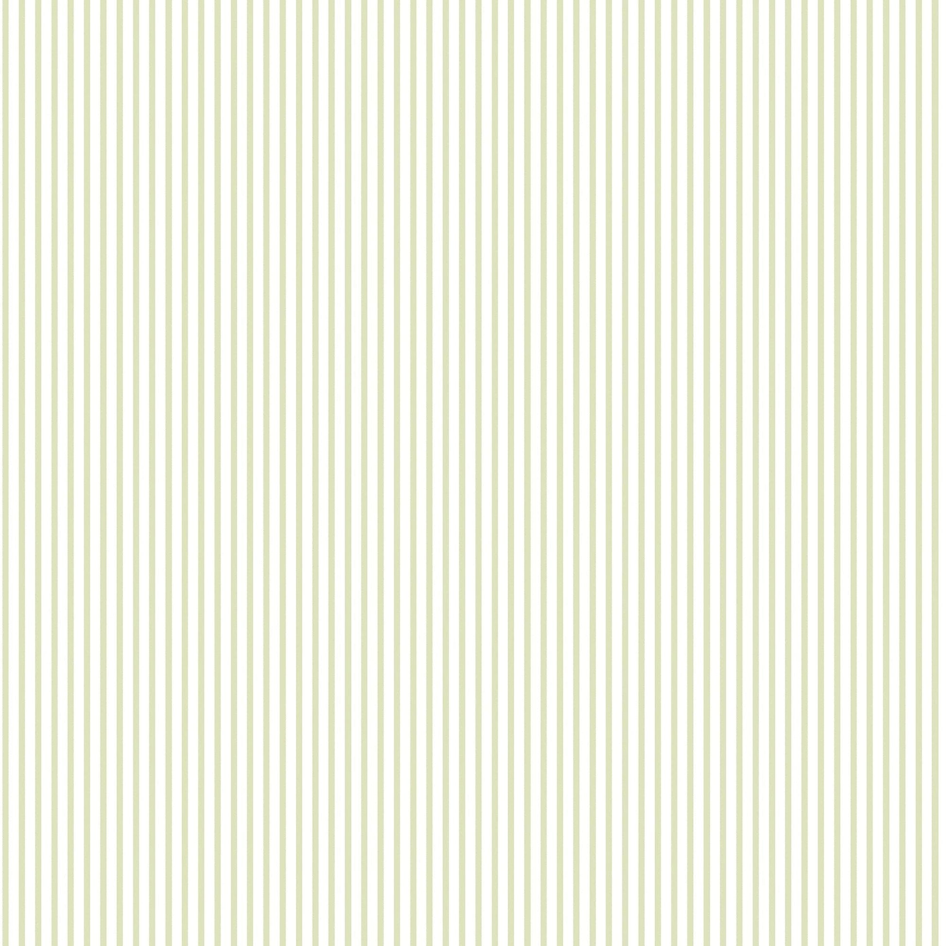 Small Prints Candy Stripe Wallpaper - Sage Green - Galerie - G56644 - Premier Wallcovering
