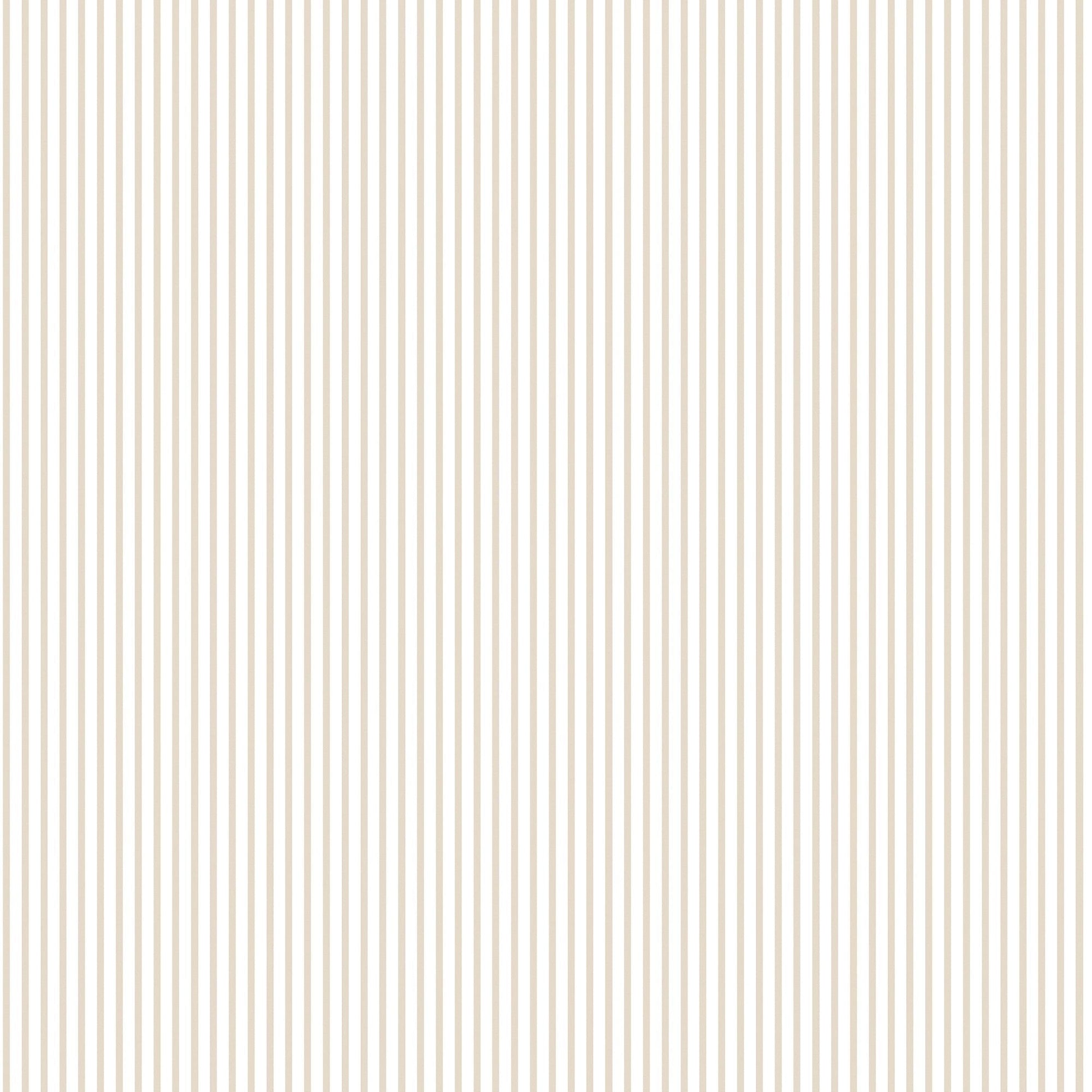 Small Prints Candy Stripe Wallpaper - Taupe - Galerie - G56645 - Premier Wallcovering