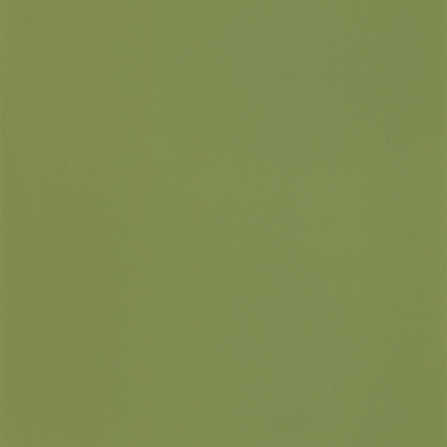 Smile Uni Once Upon A Time Wallpaper - Vert Mousse - Casadeco - 69867313 - Premier Wallcovering