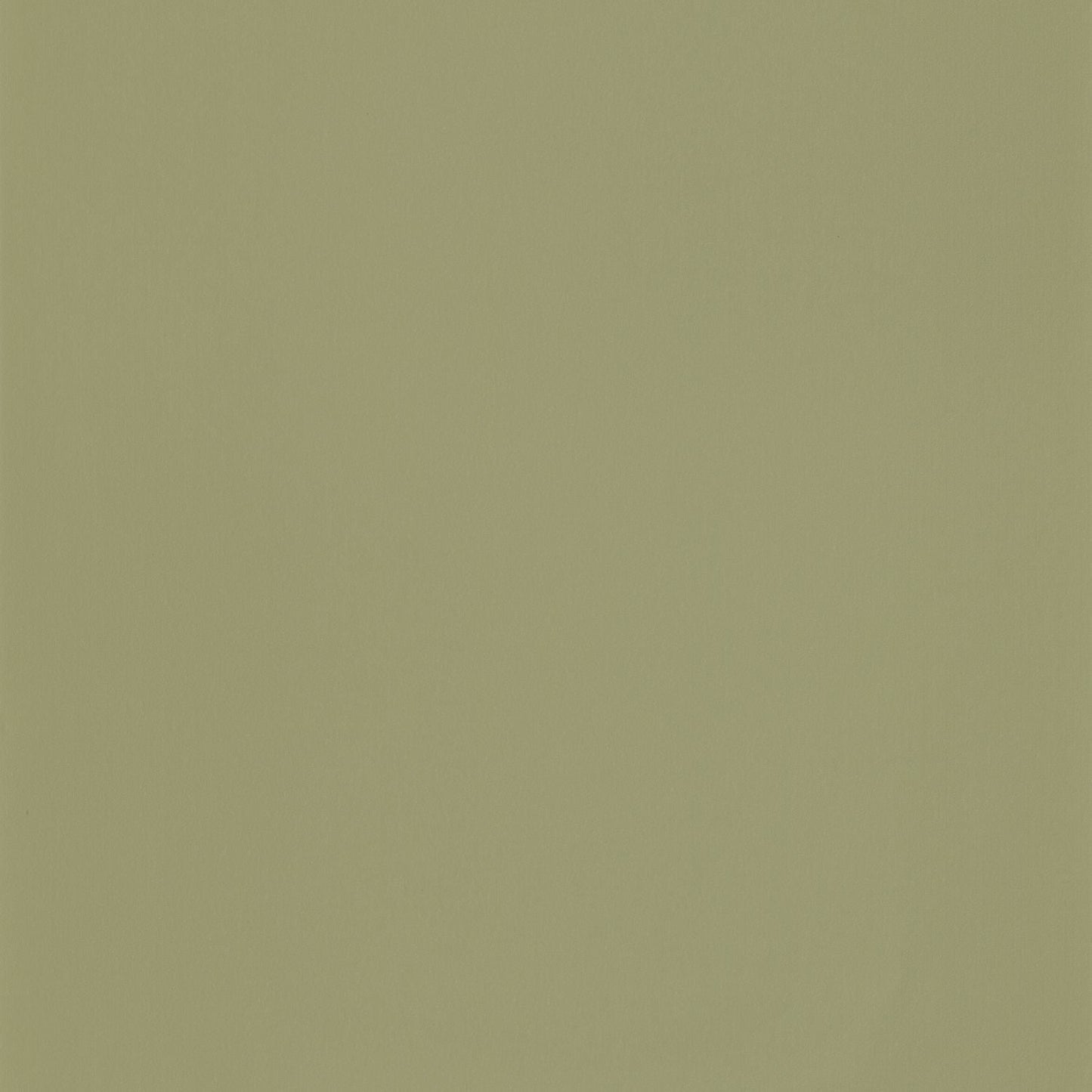 Smile Uni Wallpaper - Kaki - Caselio - 69867417