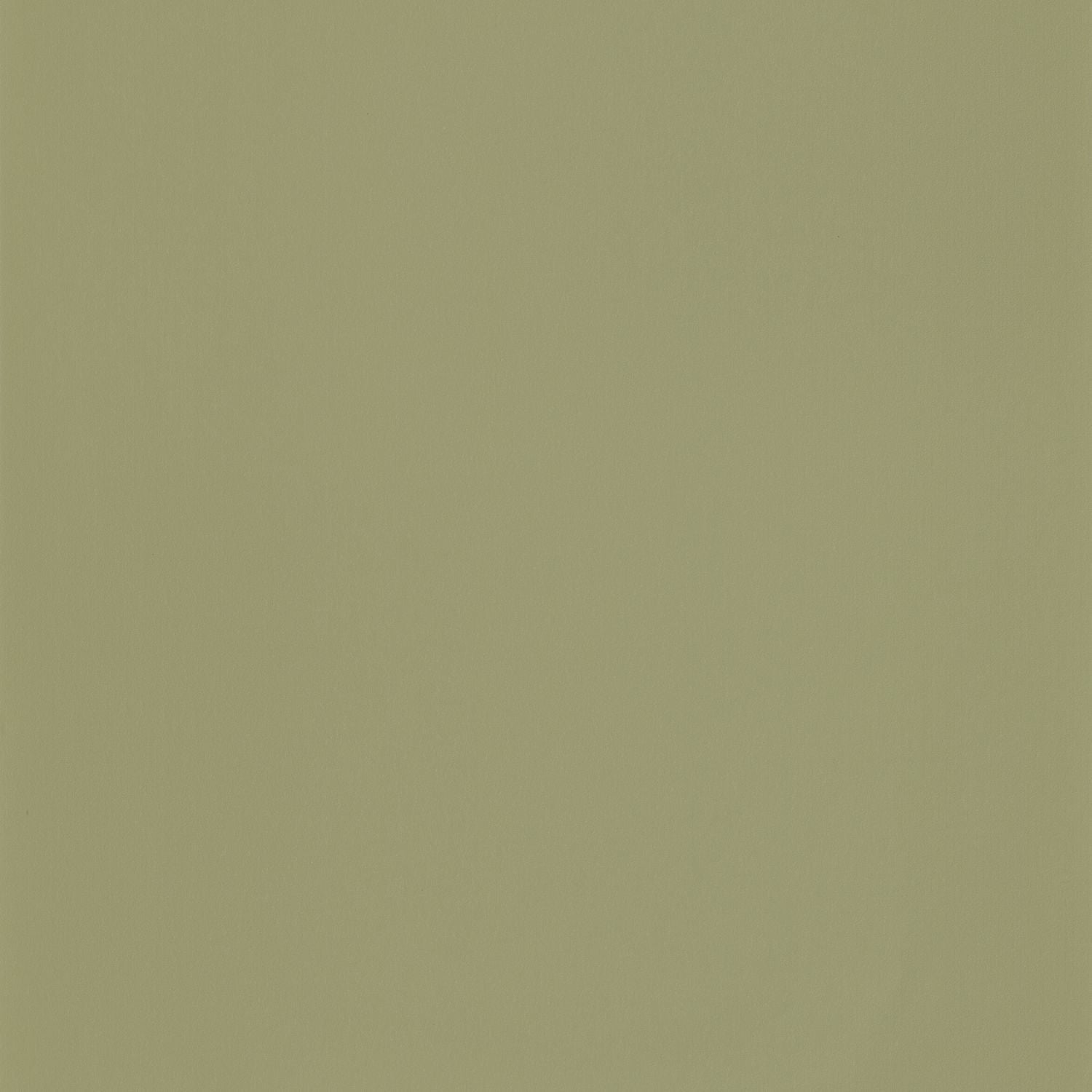 Smile Uni Wallpaper - Kaki - Caselio - 69867417