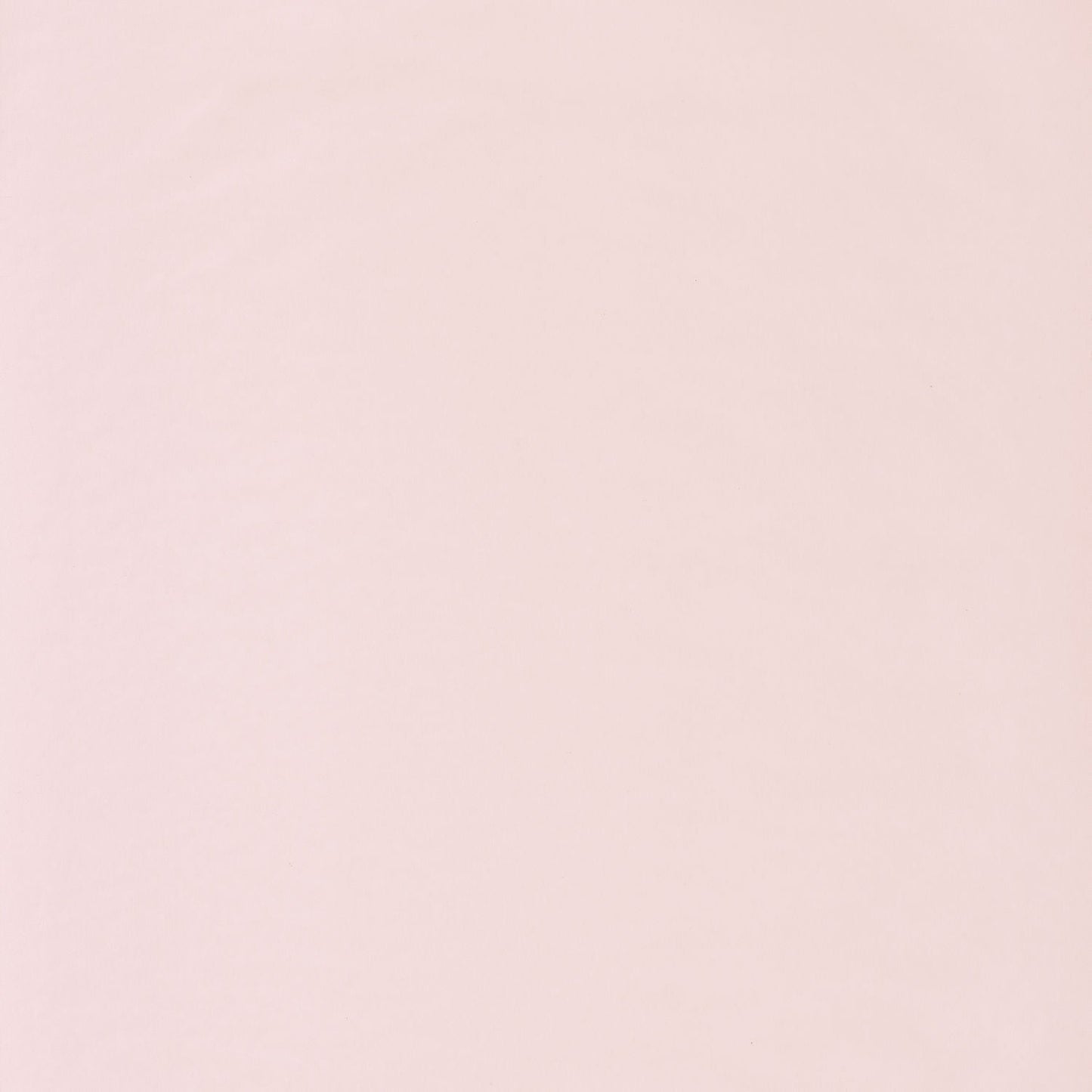 Smile Uni Wallpaper - Coquille - Caselio - 69861001