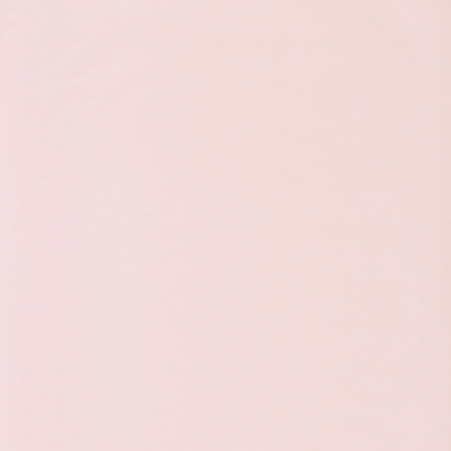 Smile Uni Wallpaper - Coquille - Caselio - 69861001