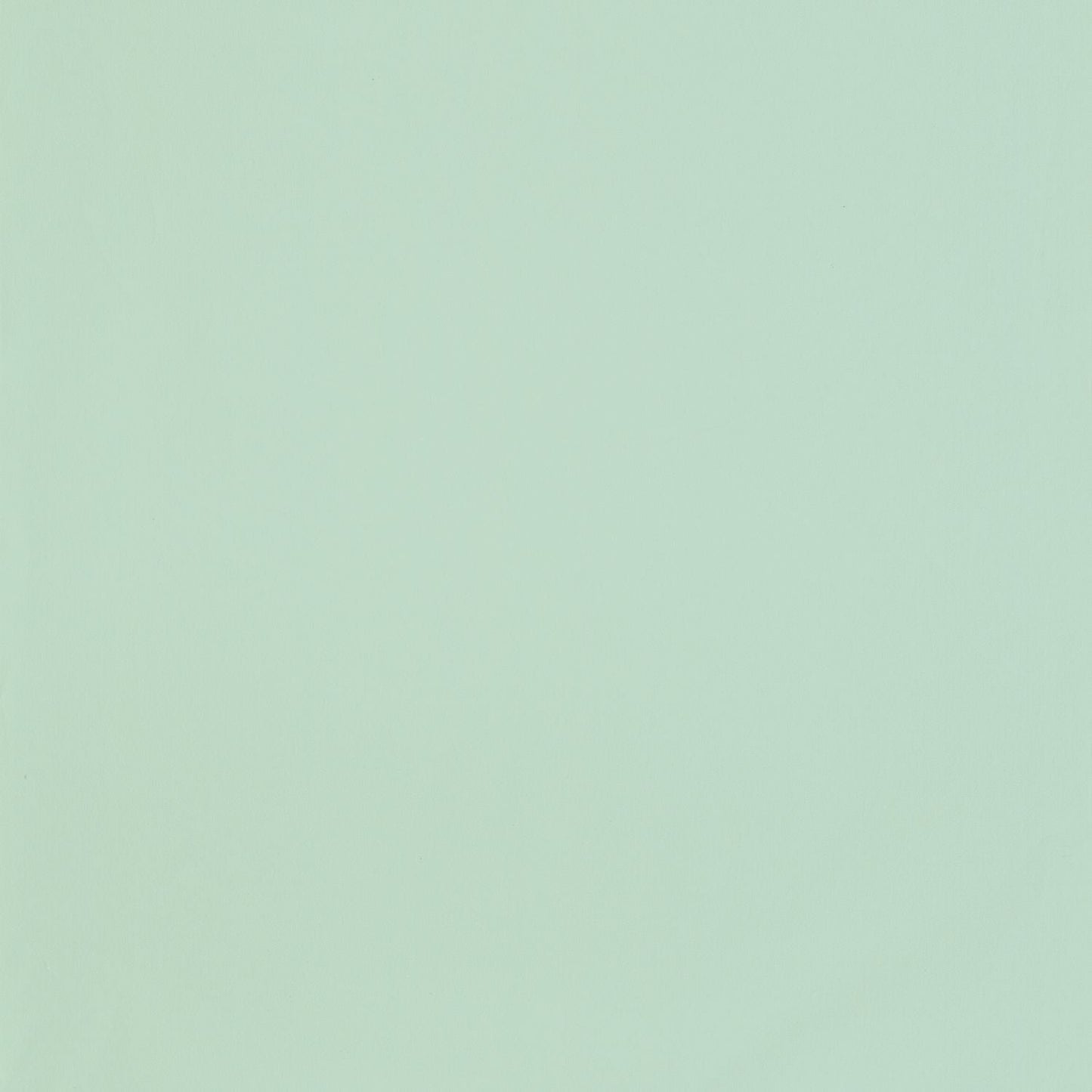 Smile Uni Wallpaper - Menthe - Caselio - 69867046