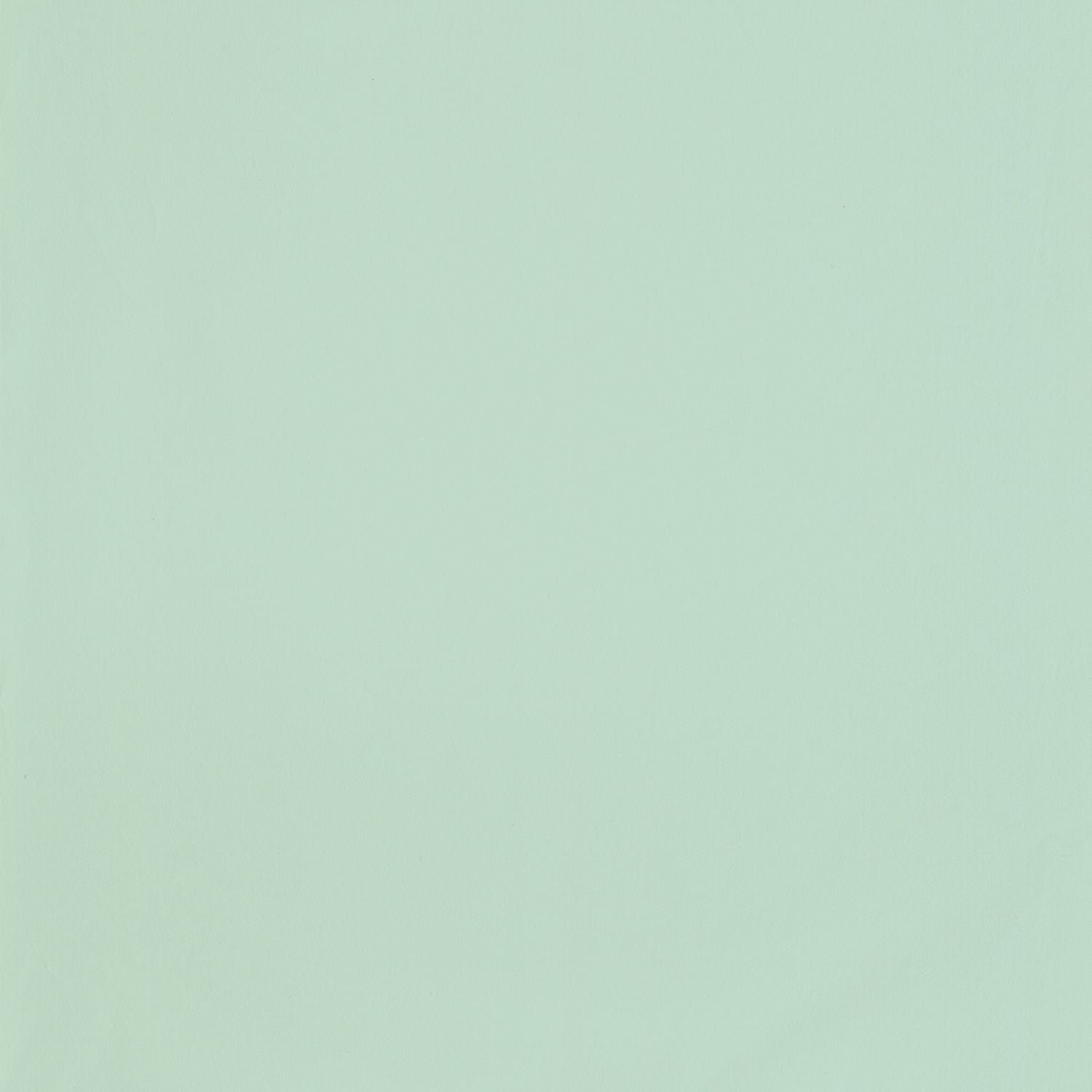 Smile Uni Wallpaper - Menthe - Caselio - 69867046