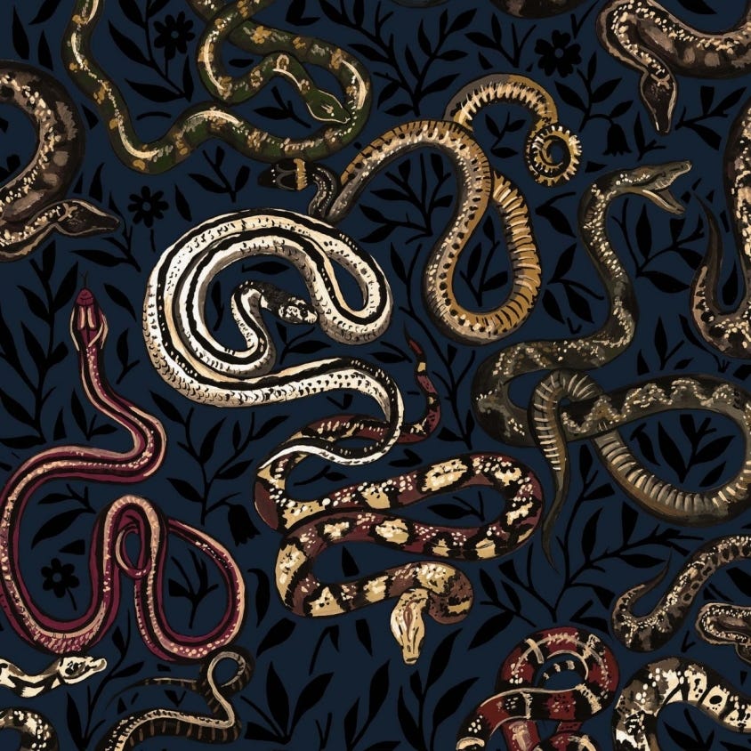 Snakes And Adders Wallpaper - House of Hackney - 1 - WA - SER - DI - BLK - XXX - Premier Wallcovering