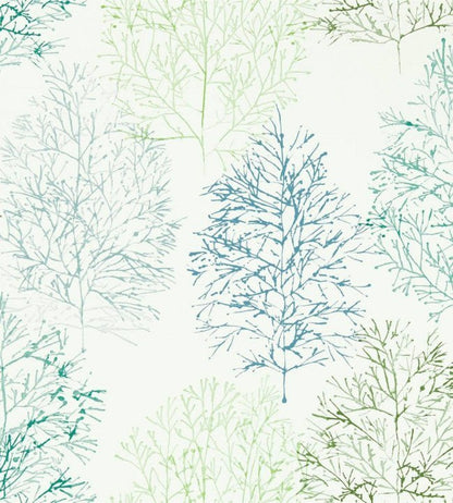 Soetsu Wallpaper - Kiwi / Slate - NZAW112002 - Scion