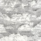 Songe Voyage Onirique Wallpaper - Noir Gravure - Casadeco - 87279907 - Premier Wallcovering