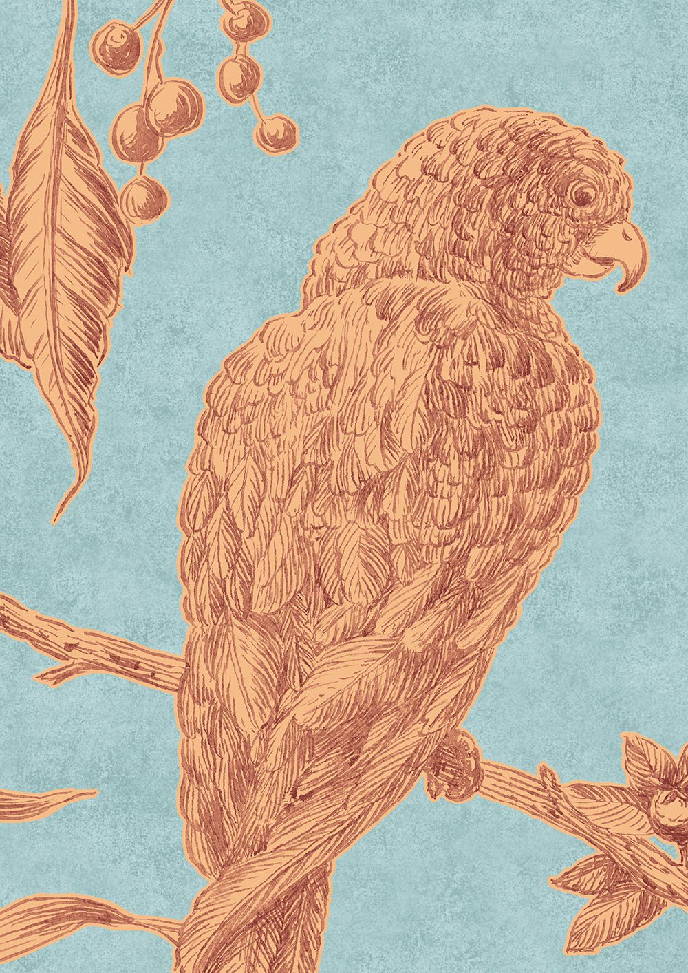 Squawk Wallpaper - Jaffa - Lewis & Wood - Premier Wallcovering