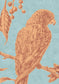Squawk Wallpaper - Jaffa - Lewis & Wood - Premier Wallcovering