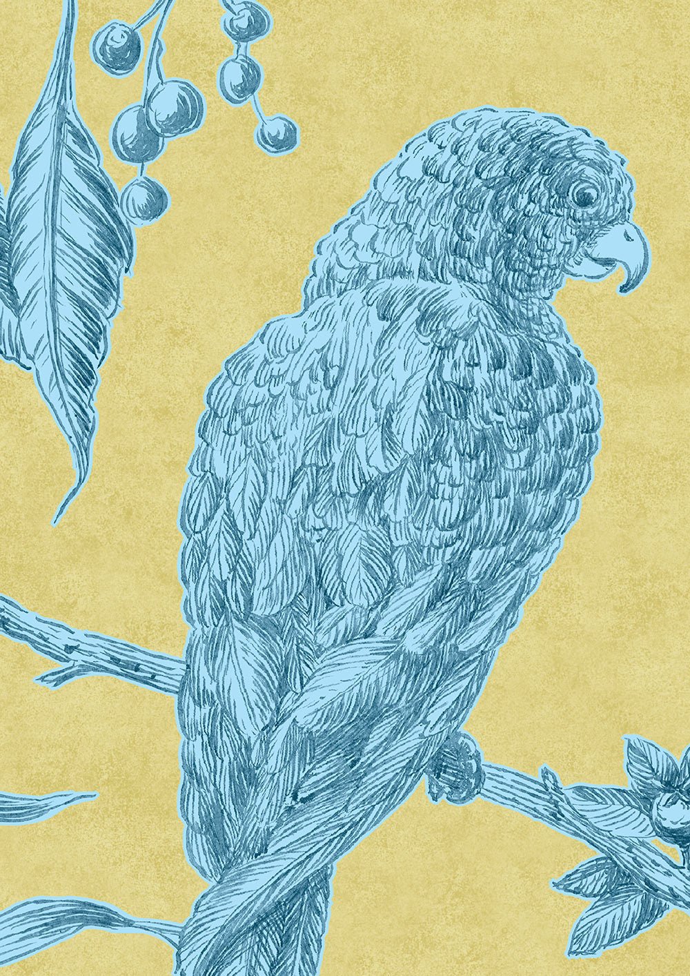Squawk Wallpaper - Curaçao - Lewis & Wood - Premier Wallcovering