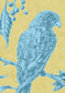 Squawk Wallpaper - Curaçao - Lewis & Wood - Premier Wallcovering