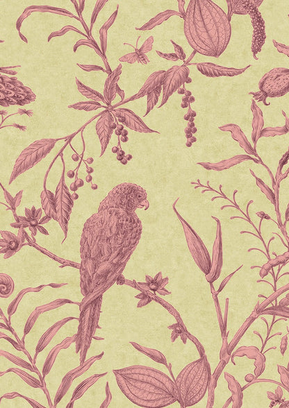 Squawk Wallpaper - Cantaloupe - Lewis & Wood - Premier Wallcovering
