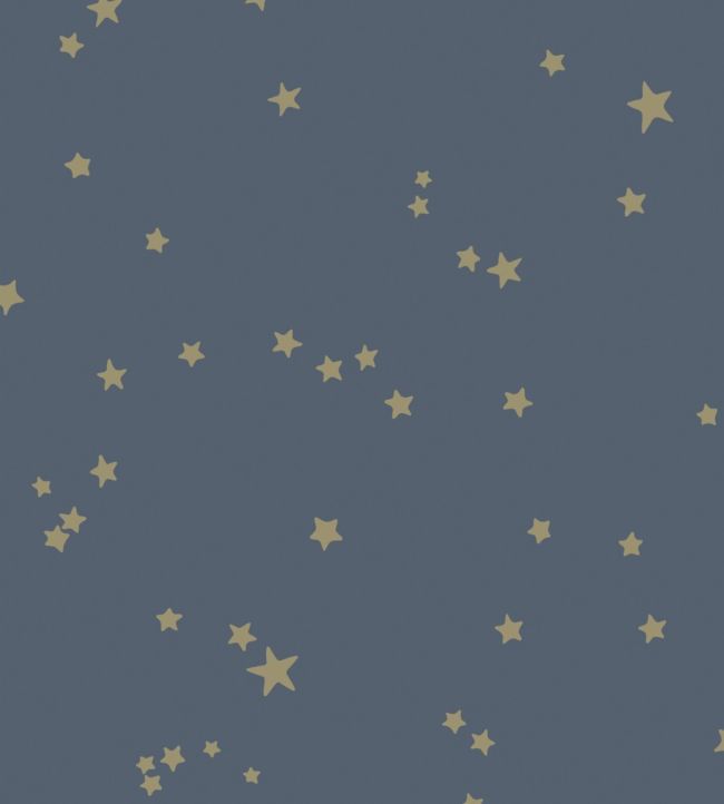 Stars Wallpaper - Metallic Gilver on Midnight - 103/3017 - Cole & Son - Premier Wallcovering