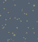 Stars Wallpaper - Metallic Gilver on Midnight - 103/3017 - Cole & Son - Premier Wallcovering