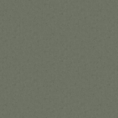 Sten Wallpaper - Sage - Boråstapeter - 3957 - Premier Wallcovering